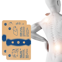 Lijitang Patch de thérapie de chauffage à infrarouge lointain soulagement de la douleur contrôle médical de la température thérapie de rééducation au bureau Patch de soulagement de la douleur