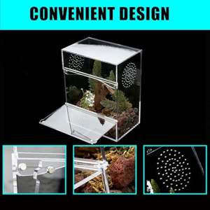 <span class=keywords><strong>Acryl</strong></span> Rechteckiger Reptilien käfig <span class=keywords><strong>Terrarium</strong></span> Haustier Produkt gehäuse für Insekten Chamäleon Eidechse Springen Spinne-für den Sommer - Product Image 4