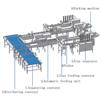Ligne de machines d'emballage automatique à grande vitesse pour aliments (gâteaux, biscuits, craquelins) en plastique/papier, moteur