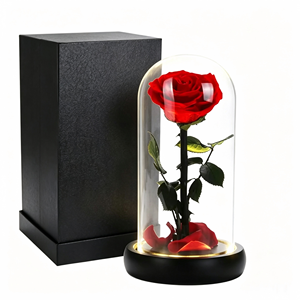 Rosa Natural Preservada, Rosa Eterna de Larga Duración para el Día de San Valentín, Bodas, Cumpleaños, Decoración del Hogar, Regalo - Product Image 2