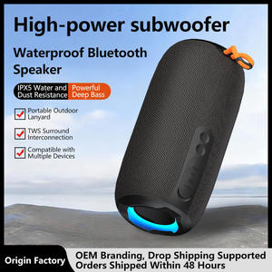 Haut-parleurs de basses sans fil portables étanches de haute qualité 20W avec subwoofer pour Home Cinéma et utilisation sur scène (compatible Bluetooth 5.4) - Product Image 2