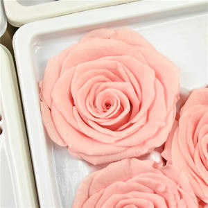 Vente en gros de têtes de roses éternelles naturelles de 5 à 6 cm, roses conservées colorées et bon marché pour mariage, Saint-Valentin - Product Image 4
