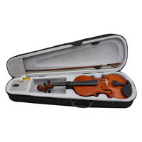 Accessory Set Included Solid Wood Violin for Student Children Beginner Adult Violin for Playing