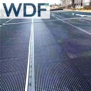 Cellule de drainage en plastique HDPE 20mm 25mm Panneau de drainage cellulaire de 60mm pour toit jardin ou système de drainage de toit - Product Image 3