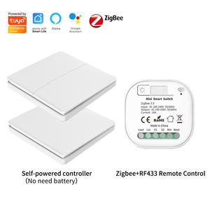SIXWGH ZigBee 3.0 Smart Switch 16A Tuya Smart Life Alexa Google Home controllo vocale RF433 modulo di controllo remoto Wireless - Product Image 2