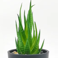 Ensemble de mini-plantes artificielles vertes en pot en plastique, succulentes écologiques, décorations intérieures pour la maison, pour Pâques et les mariages