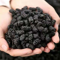 China Sichuan Zwarte Zoete Gedroogde Moerbeien Graad A 15kg Bulk Vacuümverpakking AD-proces voor consumptie