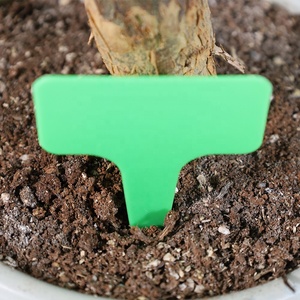 EASTOMMY – Support de plante Totem Rose verte en noix de <span class=keywords><strong>coco</strong></span>, poteau d'escalade, accessoires de jardin pour plantes en pot d'intérieur, ET-583909-M - Product Image 6