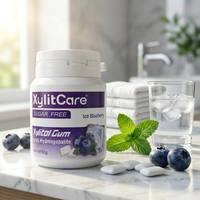 Natuurlijke smaak Xylitol Suiker-vrije Kauwgom Cafeïne L-Theanine B-Vitamines Nootropisch Zakje OEM Merk Fabrieksdirect