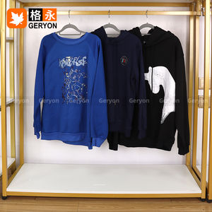 Felpe Usate Vintage Geryon da Donna, Leggere e Pulite, a Maniche Lunghe, per Esportazione - Product Image 6