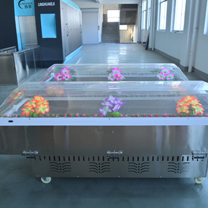 Ataúd Refrigerado Estilo Americano Duradero con Tapa Transparente para Conservación y Servicios Funerarios - Product Image 3