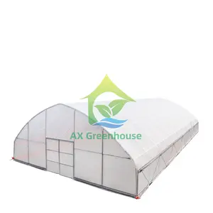 Agricultural Single Span Tunnel Greenhouse Gothic Arch Roof Greenhouse Kit for Vegetable and Fruit Farming