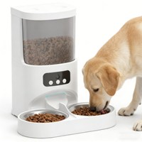 Distributeur automatique de nourriture pour animaux de compagnie en matériau écologique, distributeur automatique de nourriture pour animaux de compagnie étanche, bols pour animaux de compagnie