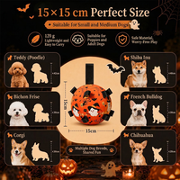 Jouet interactif pour animaux de compagnie pour Halloween avec poignées en ruban pour chats et chiens