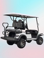 Carro Eléctrico Ecológico Homologado para Circular por la Calle, Ideal para Resorts y Campos de Golf