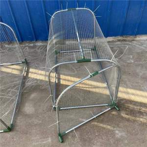 Voliera Walk-in per la cura del pollame nuova casa per la cura del pollame - Product Image 2