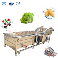 Machine de nettoyage industrielle commerciale pour écailles de poisson, laveuse de chips de pommes de terre, nettoyeur de gingembre et de poireaux, machine à laver les légumes à l'ozone