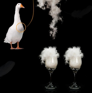 Edredón de plumón de pato blanco para hotel, 50% plumón, 50% plumas - Product Image 4
