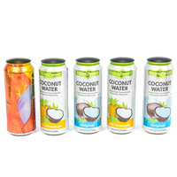 Vente en Gros de Canettes Vides en Aluminium de Haute Qualité Alimentaire pour Jus et Boissons avec Couvercles Faciles à Ouvrir