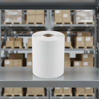 Rollos de Etiquetas Térmicas Directas 4x6, 2500 Unidades, Blancas, Adhesivo Fuerte, Perforadas, 10 Rollos, 250 Etiquetas por Rollo, para Impresora