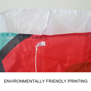 Cerfs-volants en polyester ripstop de grande taille sur mesure 2025, haute qualité, conçus pour le sport, tissu certifié CE-EN71 - Product Image 2