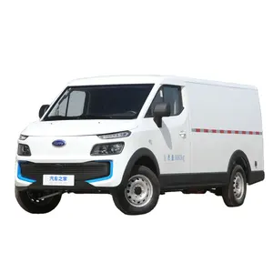 Hot sale Karry Dolphin Mini EV Van New Energy Cargo Van with Pure Electric Power from China supplier