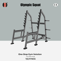 Acier robuste pour rack à squats, crochets de barre multi-niveaux, supports de rangement pour plaques, cadre renforcé, équipement de fitness à usage commercial