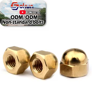 Stainless Steel and Carbon Steel Hexagon Domed Cap Nuts DIN1587