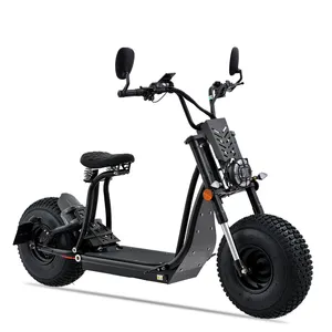 Eu Warehouse Ce Eec Coc 2000w 3000w Citycoco Chopper Scooter Electric Motorcycles