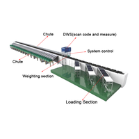Clasificador de Cintas Transportadoras Lineales para Clasificación de Paquetes y Mercancías