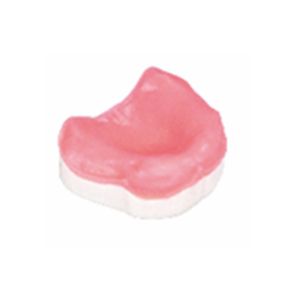 Modelo de mandíbula edéntula Modelo de estudio y práctica de dientes dentales - Product Image 1