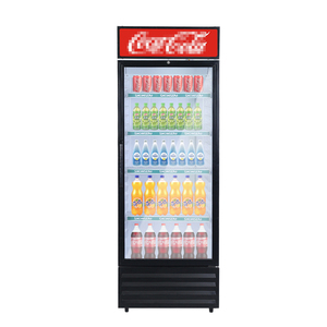 Réfrigérateur <span class=keywords><strong>vitrine</strong></span> pour boissons Snowsea LC-300W <span class=keywords><strong>à</strong></span> porte simple, fabrication industrielle - Product Image 5