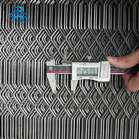 Grillage métallique gothique expansé en acier galvanisé à faible teneur en carbone, robuste et durable, 4 pieds x 8 pieds, pour bâtiments de bureaux, résistant à l'eau et au feu