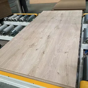 Demeter Melamine MDF board 3mm 6mm 10mm 15mm 16mm 17mm 18mm wood board MDF for furniture cabinet wardrobe