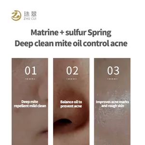 Mousse d'extrait de plante Dense Enlever l'huile Augmenter l'humidité de la peau Matrine multi-usages Savon anti-acariens