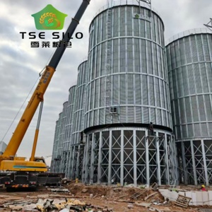 Silo de stockage de céréales (blé, paddy, graines de tournesol) pour projet clé en main - Product Image 4