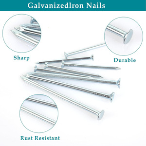 Concrete <b>Nails</b> 750pcs 1-2.5mm Diameter 20-50mm Length Steel Smooth Shank Sharp Point Polished Surface For Construction And - Product Image 3
