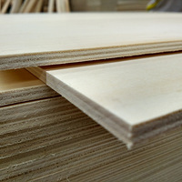Contreplaqué de bouleau 3/4 4X8 15mm 18mm Noyau d'eucalyptus Contreplaqué résistant aux termites Panneaux de bois avec stratifié