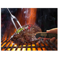 Termometer Dapur Digital Akurat untuk Daging BBQ SYH1184 dengan Probe Pop-up Tahan Air dari Plastik untuk Penggunaan Rumah Tangga