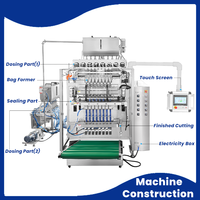 Machine d'emballage multivoies pour sachets de collagène liquide et complément énergétique liquide à scellage dorsal