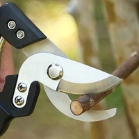 Tuinsnoeischaar met veermechanisme, bloemenschaar, fruitplukkerschaar, speciale tuinschaar voor het snoeien van takken