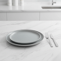 Service de table en céramique de luxe moderne |   Ensemble de 4 assiettes et bols gris |   Utilisation à domicile, dans les hôtels et les restaurants, compatible four et micro-ondes