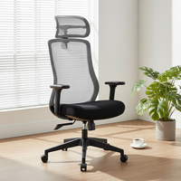 Fauteuils de bureau ergonomiques modernes en maille de haute qualité, pivotants, réglables, avec vérin à gaz 3 positions, couleur personnalisable, pour cadres, garantie 3-5 ans