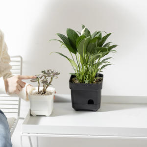 C296 Large Small Ground Water <strong>Storage</strong> Thickened Succulent Square Four-Legged <strong>Plastic</strong> Flower - Product Image 2