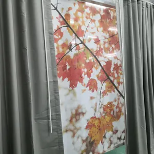 Holiday Inn Hotel customized sheer roller shades with fire retardant fabrics