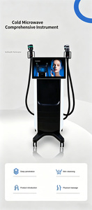 2.45GHz Onda Coolwave Microwave Slimming Equipment Body Fat Removal Skin Firming Cellulite Reduction <b>for</b> Salon Wholesale - Product Image 2
