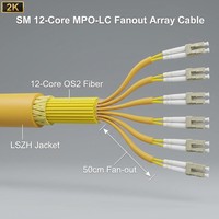 Câble de répartition 12 fibres OS2 SM MPO vers LC, LSZH, 12 fibres MPO femelle vers 6x LC duplex, haute vitesse 100G, 50cm, Jumper
