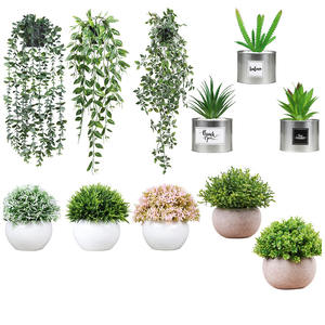 Bureau boutique décoration usine pas cher Tropical faux fougère palmier artificiel petit palmier plantes bonsaï pour la maison en plastique - Product Image 3