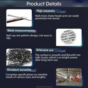 <span class=keywords><strong>Clous</strong></span> en fer lisse à spirale courante avec pointe diamantée pour usage de construction - Product Image 5