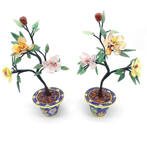 Plante en <span class=keywords><strong>jade</strong></span> <span class=keywords><strong>de</strong></span> grande taille, raisin - Product Image 4